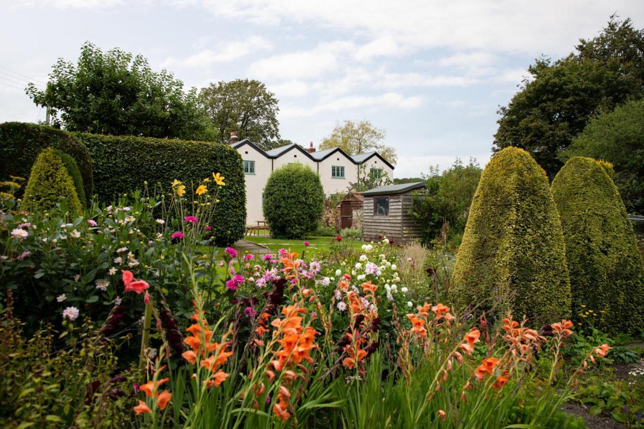 Woodcutter'S Cottage Dorchester Exterior foto